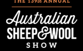BENDIGO SHEEP & WOOL SHOW