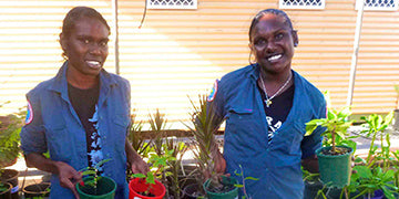 GREEN HIP COMMUNITY: CROCODILE ISLAND RANGERS
