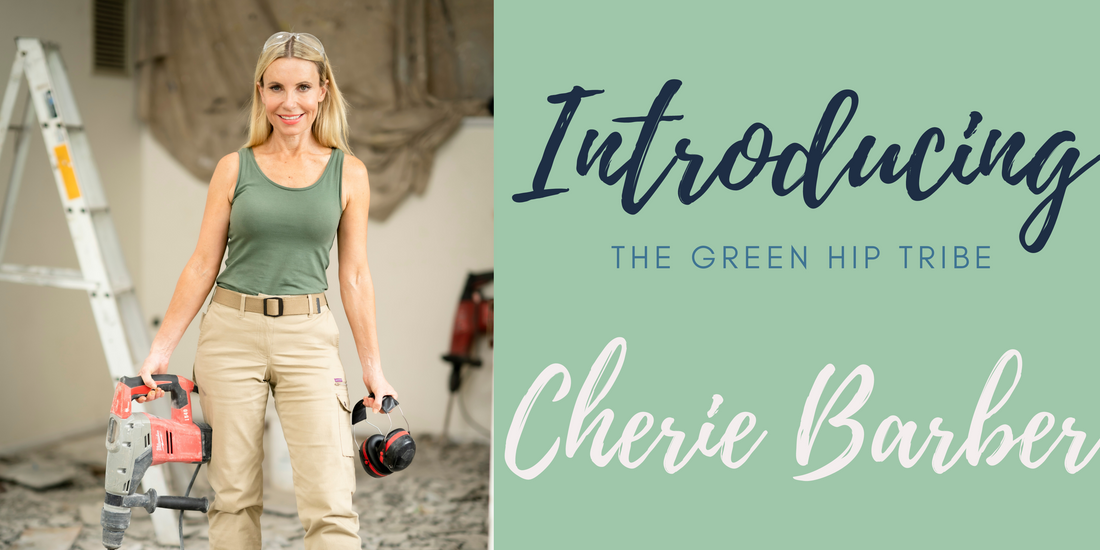 Meet Cherie Barber from Reno For Profit & Space Invaders