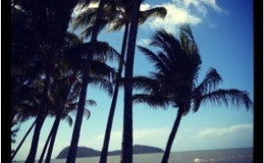 NEW STOCKIST - CAIRNS QUEENSLAND