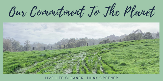 Live Life Cleaner, Think Greener: Sustainability at Green Hip