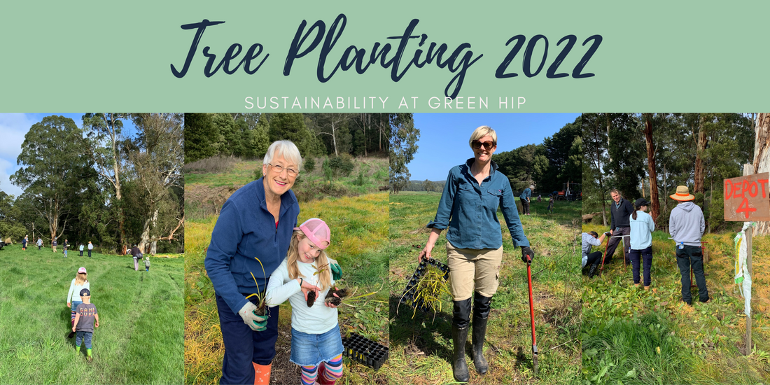 Come Plant Trees With Us! Tree planting 2022